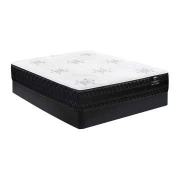 Windham Pocket Coil Mattress Set - WIND-X