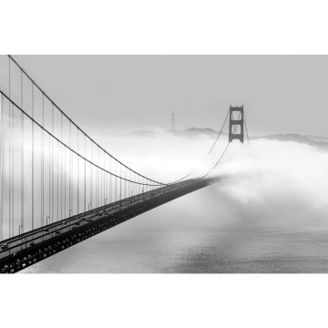 Panoramic View 24 x 36 Print - SF462436