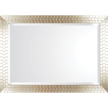Turtle Cappuccino 22x28 Mirror - TCAP2228