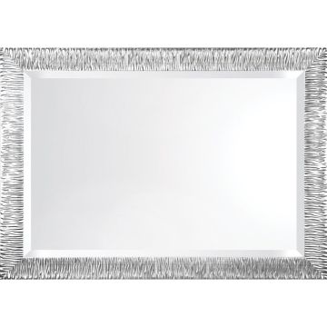 Zebra Silver 22x28 Mirror - ZSIL2228
